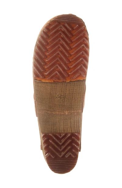 Sanita Platform Clog In Salmon