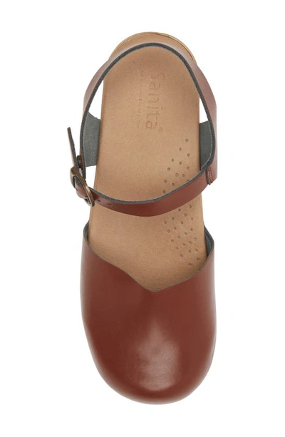 Sanita Sansi Clog In Chestnut