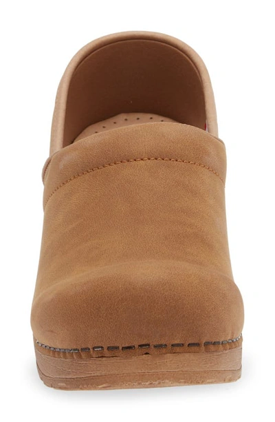 Shop Sanita Hinsdale Clog In Cognac