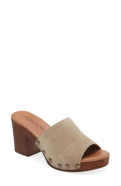 Shop Cordani Whitley Block Heel Sandal In Corda