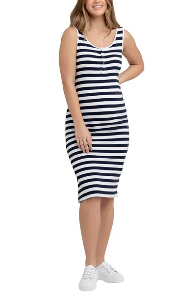 Shop Ripe Maternity Lee Stripe Snap Button Maternity/nursing Dress In Navy / White