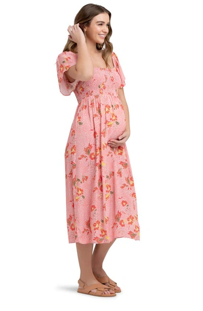 Shop Ripe Maternity Libby Floral Print Smocked Maternity Dress In Pink