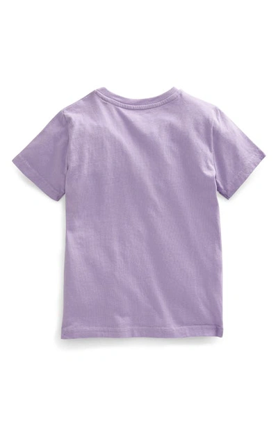 Shop Mini Boden Kids' Animal Facts Appliqué T-shirt In Misty Lavender Lizard