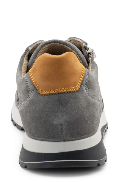 Ara Murray Zip Sneaker In Grey Suede