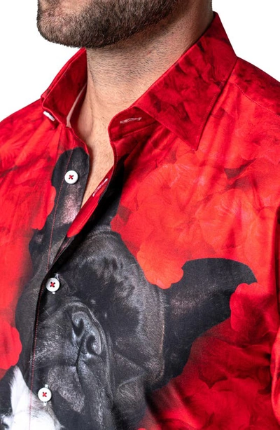 Shop Maceoo Fibonacci Valentine's Dog Contemporary Fit Button-up Shirt In Red