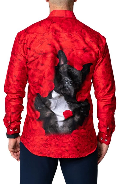 Shop Maceoo Fibonacci Valentine's Dog Contemporary Fit Button-up Shirt In Red
