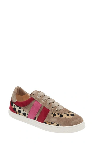 Shop Agl Attilio Giusti Leombruni Leda Genuine Calf Hair Sneaker In Taupe Ruby