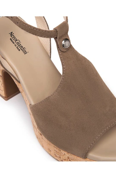 Nerogiardini Suede Ankle-strap Platform Sandals In Taupe