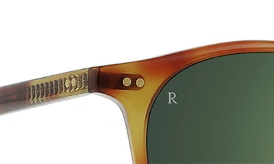 Shop Raen Basq 50mm Round Sunglasses In Moab Tortoise/ Green
