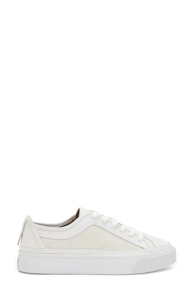 Shop Allsaints Milla Platform Sneaker In Chalk White