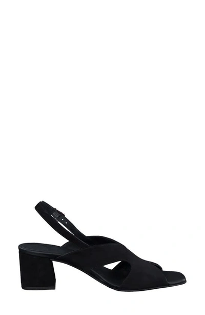 Shop Paul Green Remy Slingback Sandal In Black Suede