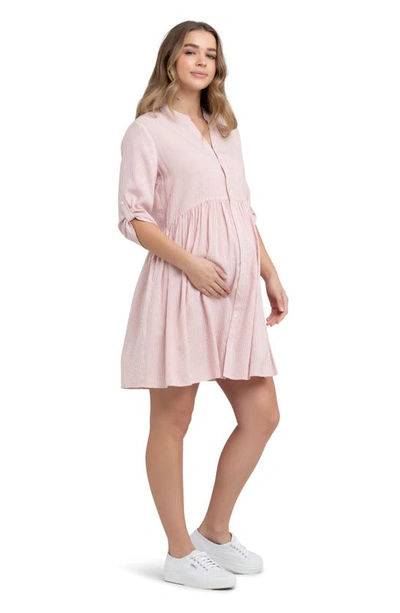 Shop Ripe Maternity Sam St/nursing Dress In Terracotta / White