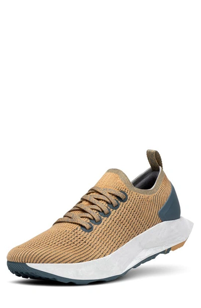 Shop Allbirds Tree Flyer Running Shoe In Forage Tan