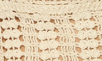 Shop Something New Kristen Crochet Bra Top In Perfectly Pale