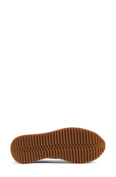 The Office Of Angela Scott The Remi Perforated Suede Low-top Sneakers In Black