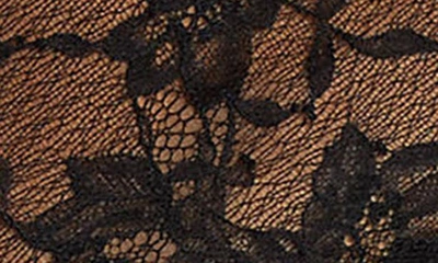 Polo Ralph Lauren High Waist Lace Briefs In Onyx