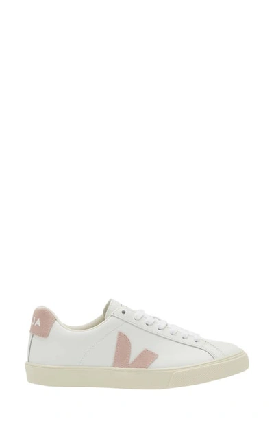 Shop Veja Esplar Low Top Sneaker In Extra-white Babe