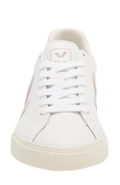 Shop Veja Esplar Low Top Sneaker In Extra-white Babe