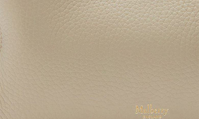 Shop Mulberry Small Iris Leather Top Handle Bag In Chalk