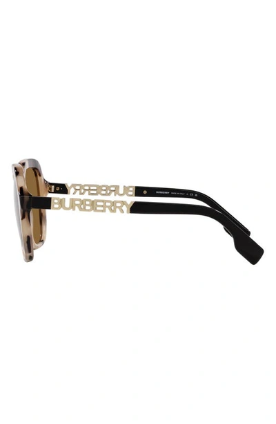 Shop Burberry Joni 55mm Square Sunglasses In Spotted Horn
