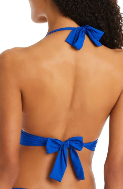 Bleu Rod Beattie Behind The Seams Halter Bikini Top In Cobalt