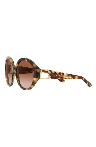 Shop Ralph Lauren 56mm Round Sunglasses In Havana