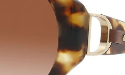 Shop Ralph Lauren 56mm Round Sunglasses In Havana