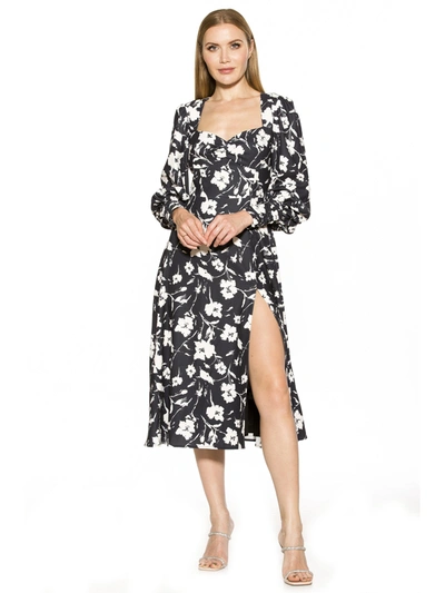 Alexia Admor Women's Travi Midi A-line Dress In Multi