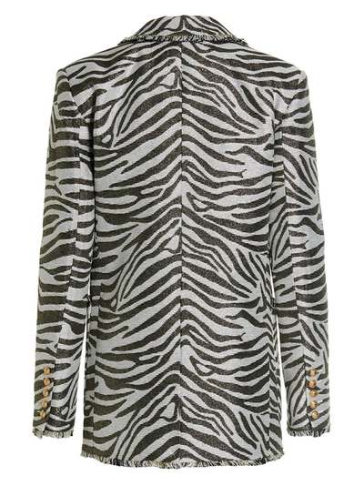 Shop Balmain Zebra Blazer Jacket