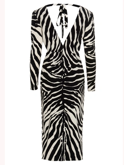 Shop Dolce & Gabbana ‘zebra' Dress