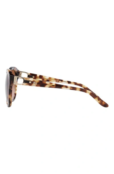 Shop Ralph Lauren 55mm Round Sunglasses In Havana