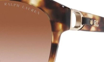 Shop Ralph Lauren 55mm Round Sunglasses In Havana