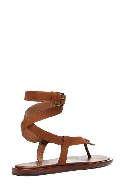 Shop Joie Jennie Strappy Gladiator Sandal In Cognac