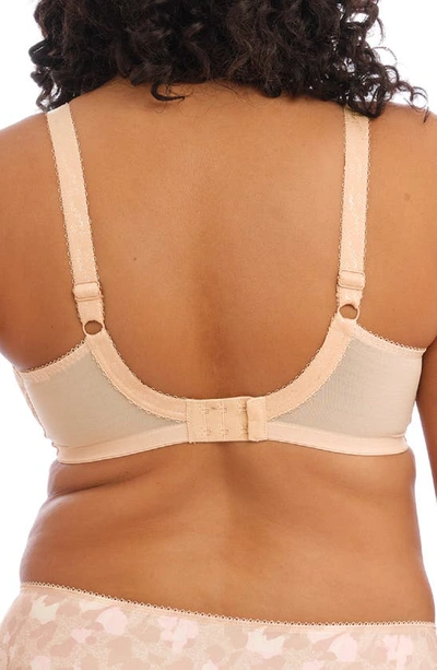 Elomi Full Figure Morgan Banded Underwire Stretch Lace Bra El4110, Online Only In Toasted Almond