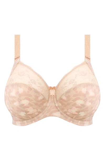 Elomi Full Figure Morgan Banded Underwire Stretch Lace Bra El4110, Online Only In Toasted Almond