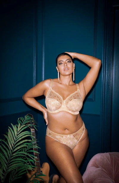 Elomi Full Figure Morgan Banded Underwire Stretch Lace Bra El4110, Online Only In Toasted Almond