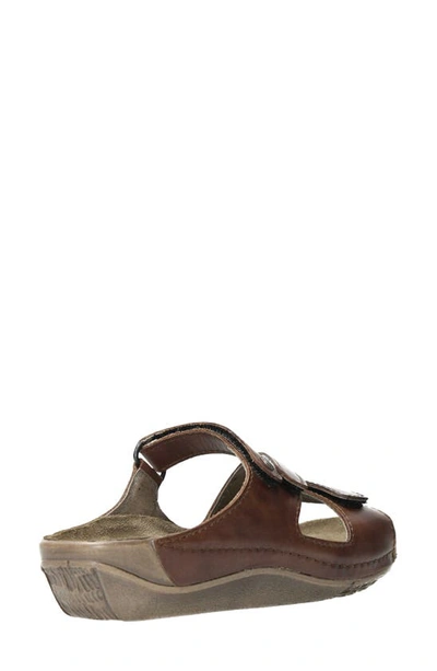 Shop Wolky Jasper Sandal In Cognac