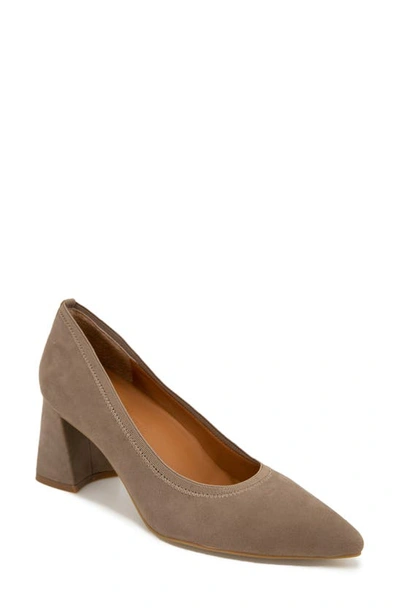 Shop Gentle Souls By Kenneth Cole Dionne Pointed Toe Pump In Mushroom