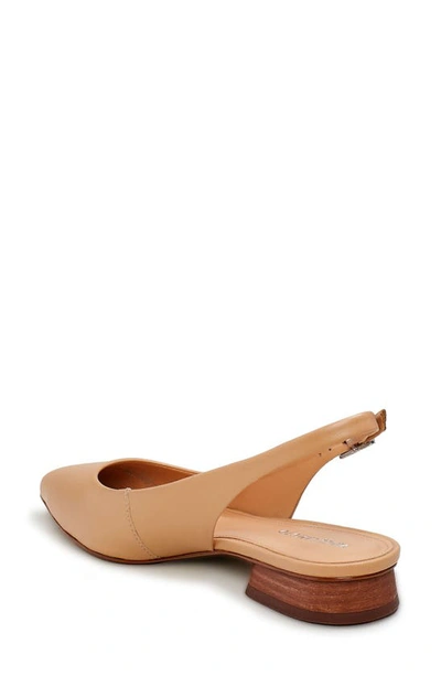 vince camuto chachen slingback flat