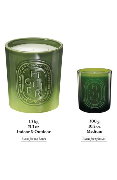 Shop Diptyque Figuier (fig Tree) Scented Indoor & Outdoor Candle, 51.3 oz In Green Vessel