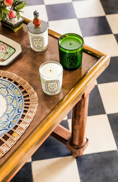 Diptyque Figuier Candle 1500g In Green Vessel