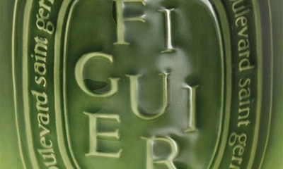 Shop Diptyque Figuier (fig Tree) Scented Indoor & Outdoor Candle, 51.3 oz In Green Vessel