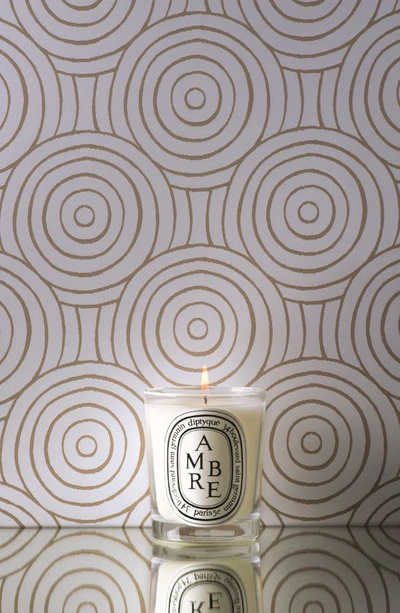 Shop Diptyque Ambre (amber) Scented Candle, 2.4 oz