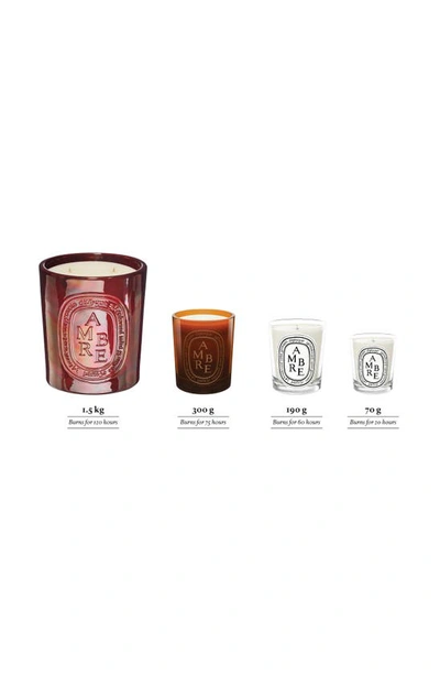 Shop Diptyque Ambre (amber) Scented Candle, 2.4 oz