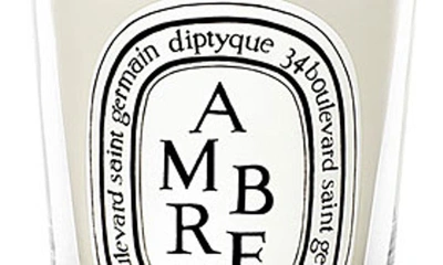 Shop Diptyque Ambre (amber) Scented Candle, 2.4 oz