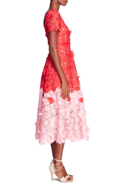 Shop Marchesa Notte Daisies & Dahlia 3d Floral Guipure Lace Midi Dress In Red/ Blush