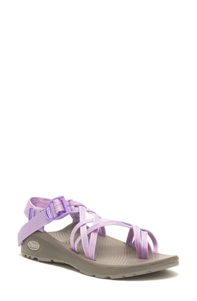 Shop Chaco Z/cloud X2 Sandal In Pep Purple Rose