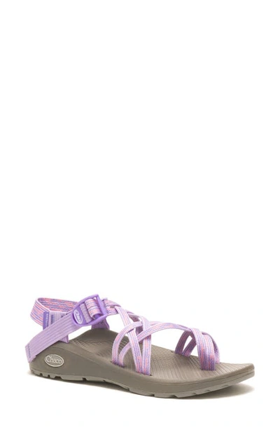 Shop Chaco Z/cloud X2 Sandal In Pep Purple Rose