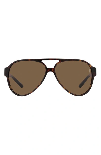 Shop Polo Ralph Lauren 61mm Aviator Sunglasses In Dk Havana