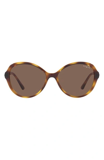 Shop Vogue 57mm Butterfly Sunglasses In Dark Havana